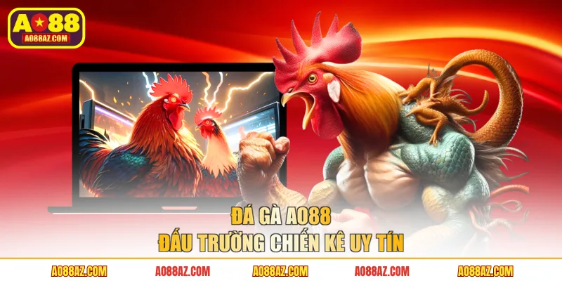 Đá gà AO88 đấu trường chiến kê uy tín