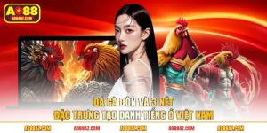 Đá Gà Đòn Và 3 Nét Đặc Trưng Tạo Danh Tiếng Ở Việt Nam