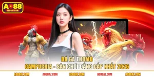 Đá Gà Thomo Campuchia - Sân Chơi Đẳng Cấp Nhất 2026